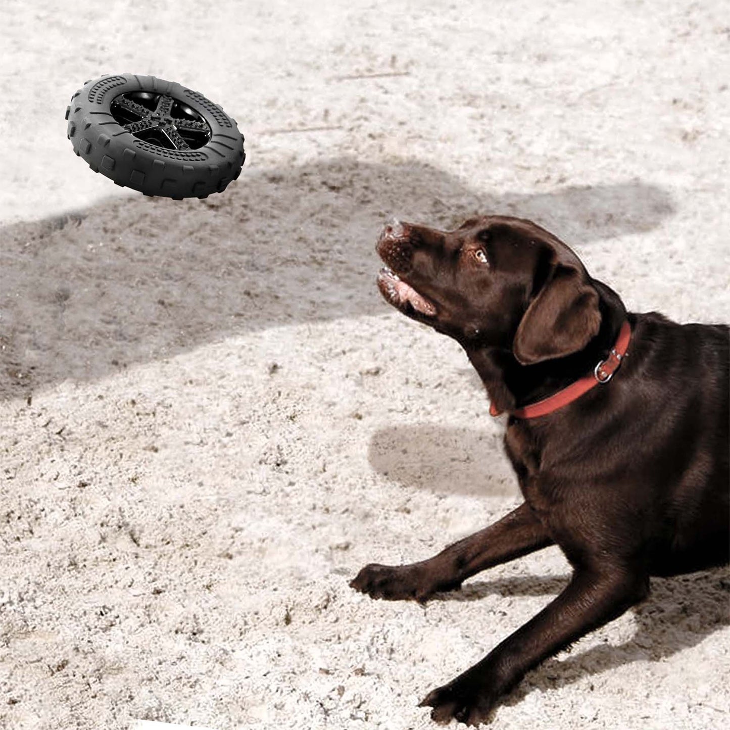 ALL TERRAIN TPR FOAM TYRE 2-IN-1 TOY 3 COLOURS